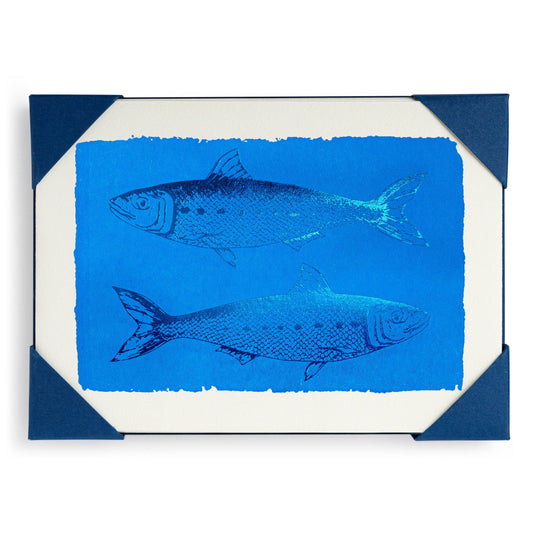 Sardines | Notelet Card (5-Pack)