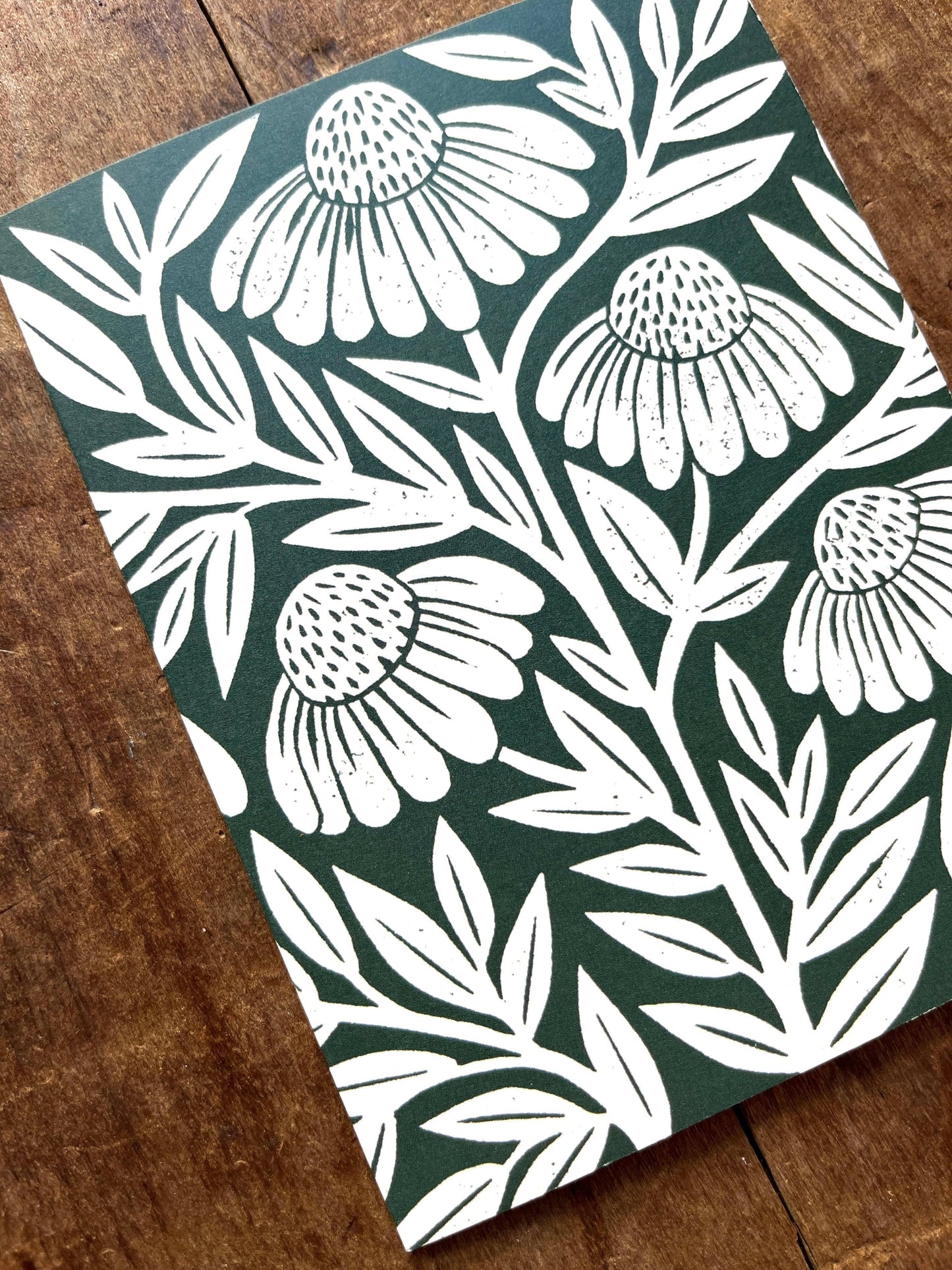 Echinacea Blank Greeting Card: Box of Six