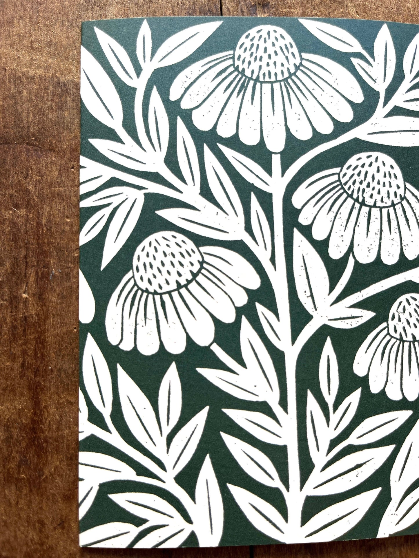 Echinacea Blank Greeting Card: Box of Six