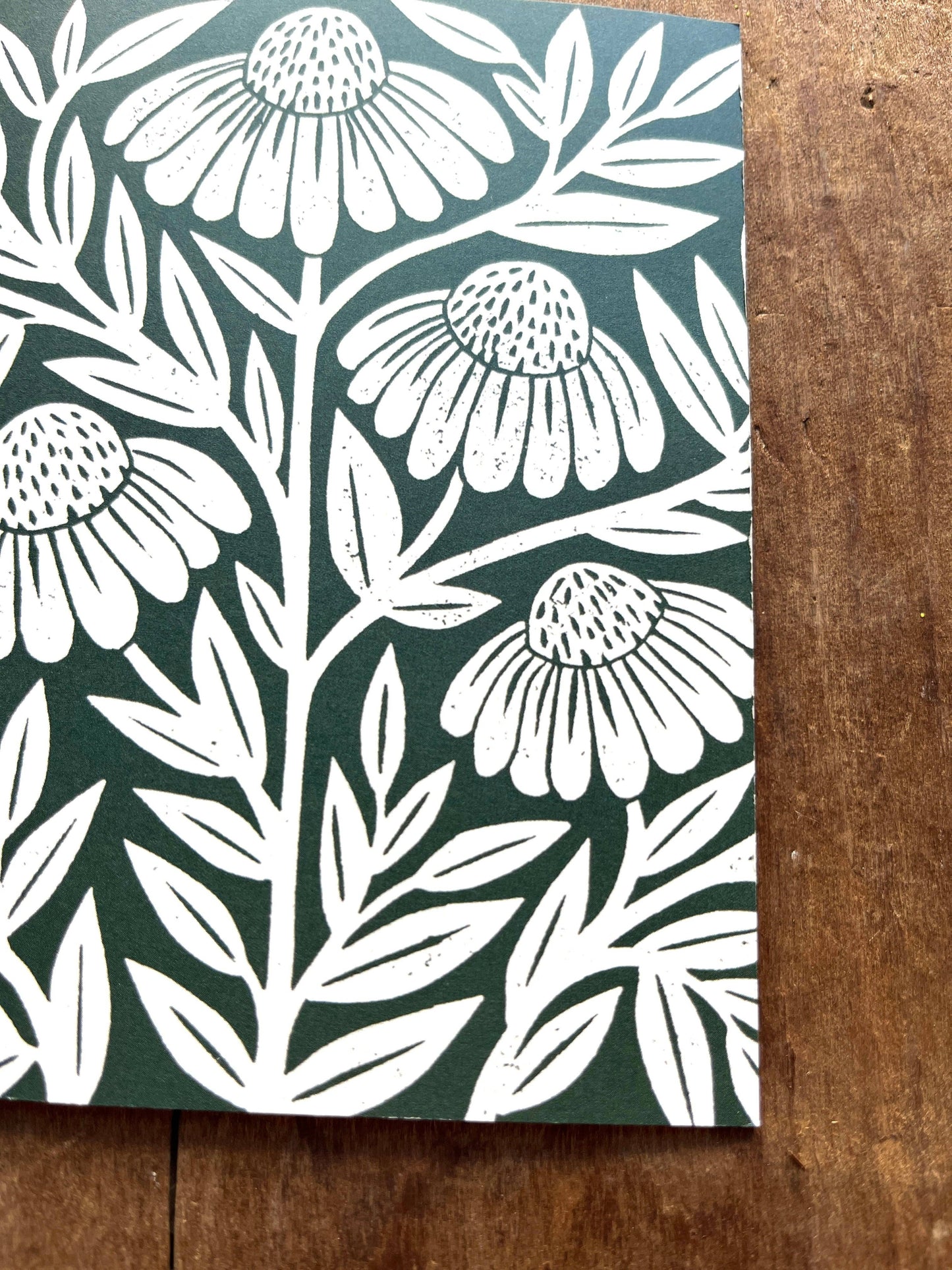 Echinacea Blank Greeting Card: Box of Six