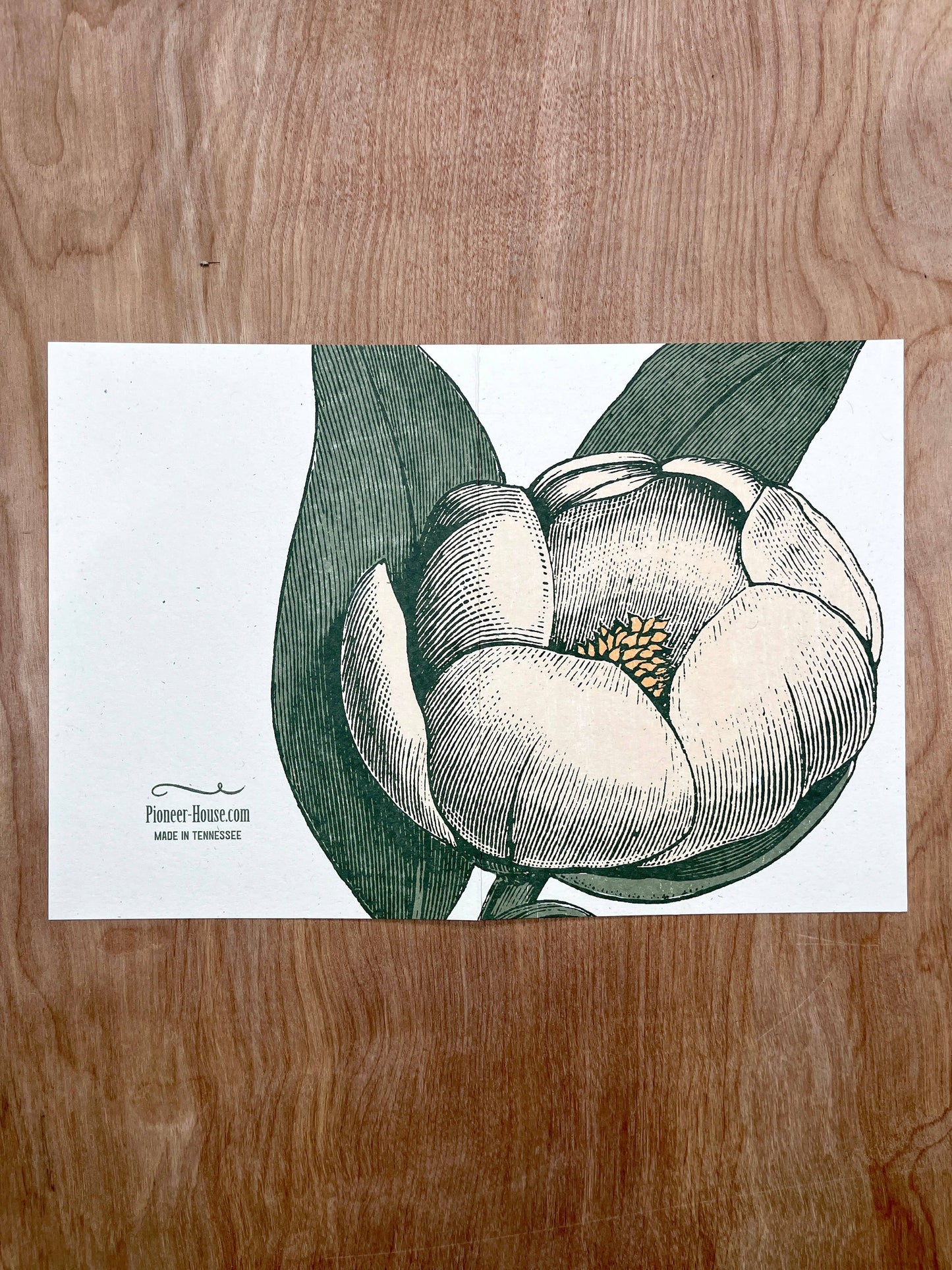 White Magnolia Greeting Cards