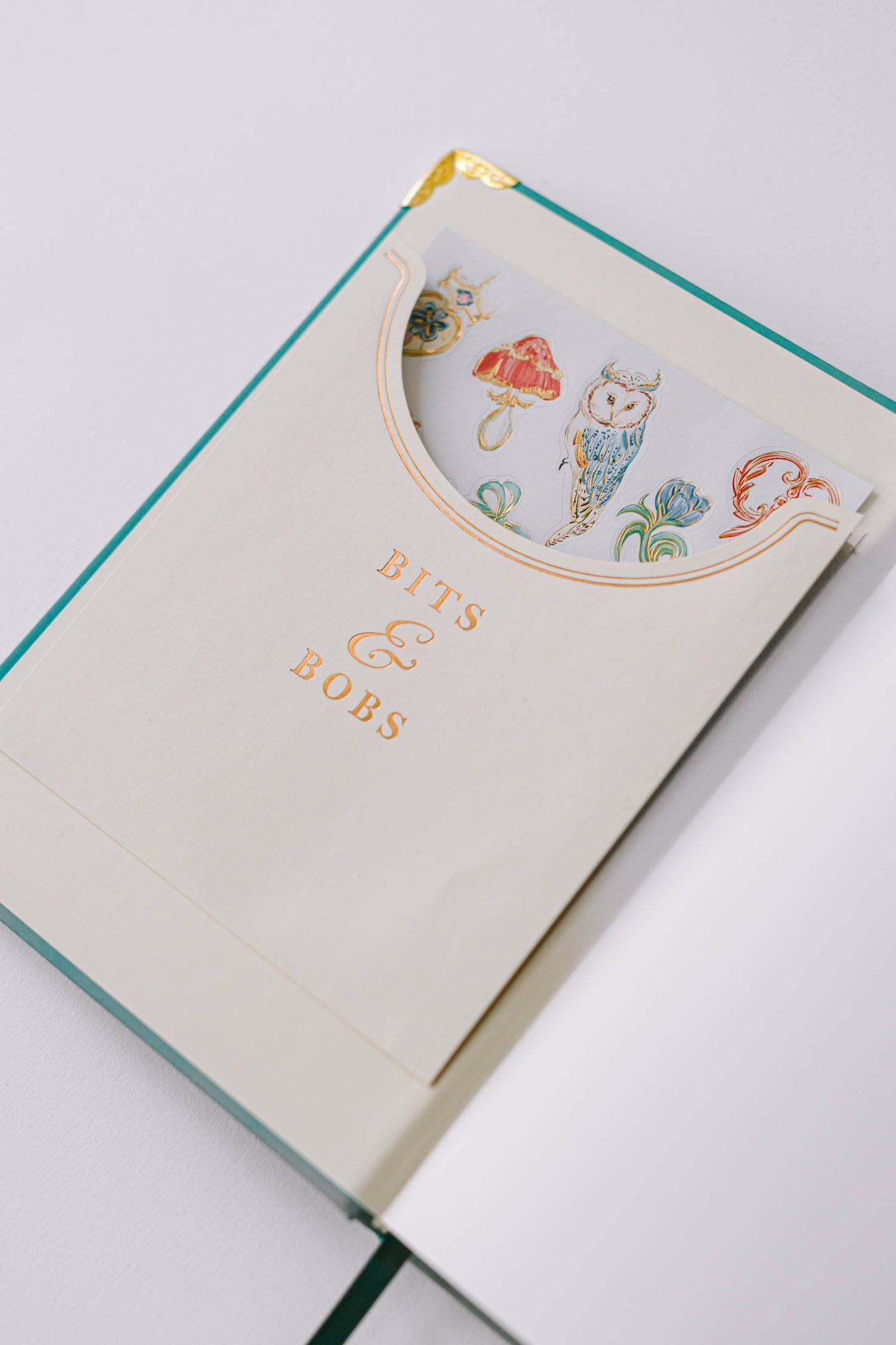 2026 Painted Frame 17-Month Medium Bound Planner