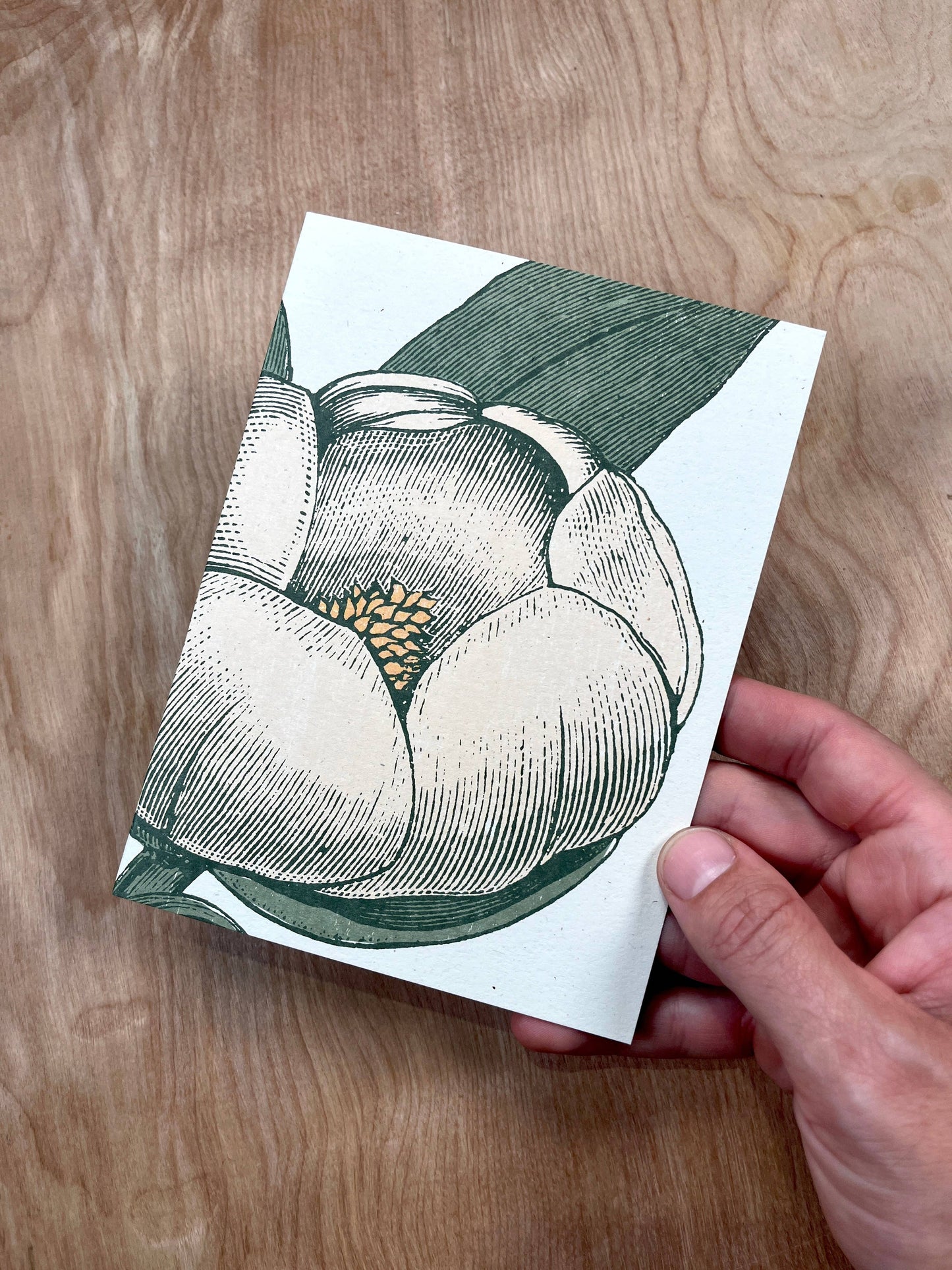 White Magnolia Greeting Cards