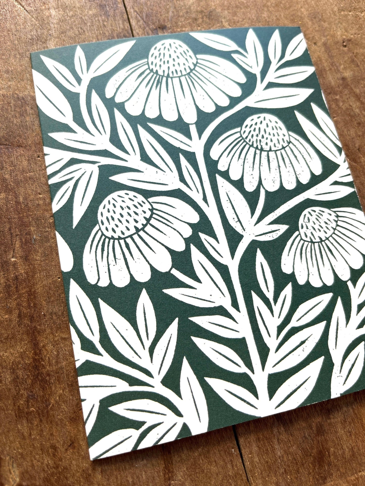 Echinacea Blank Greeting Card: Box of Six