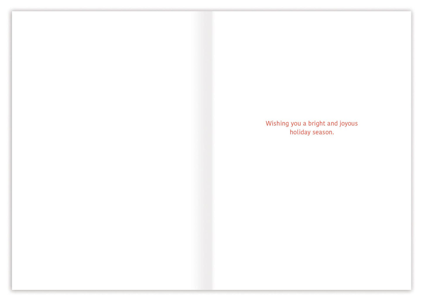 Red Berries Boxed Holiday Cards