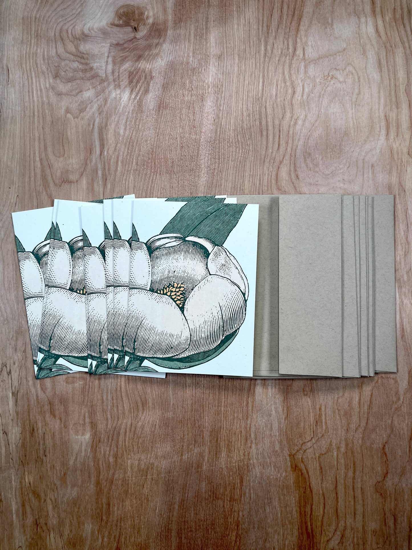 White Magnolia Greeting Cards