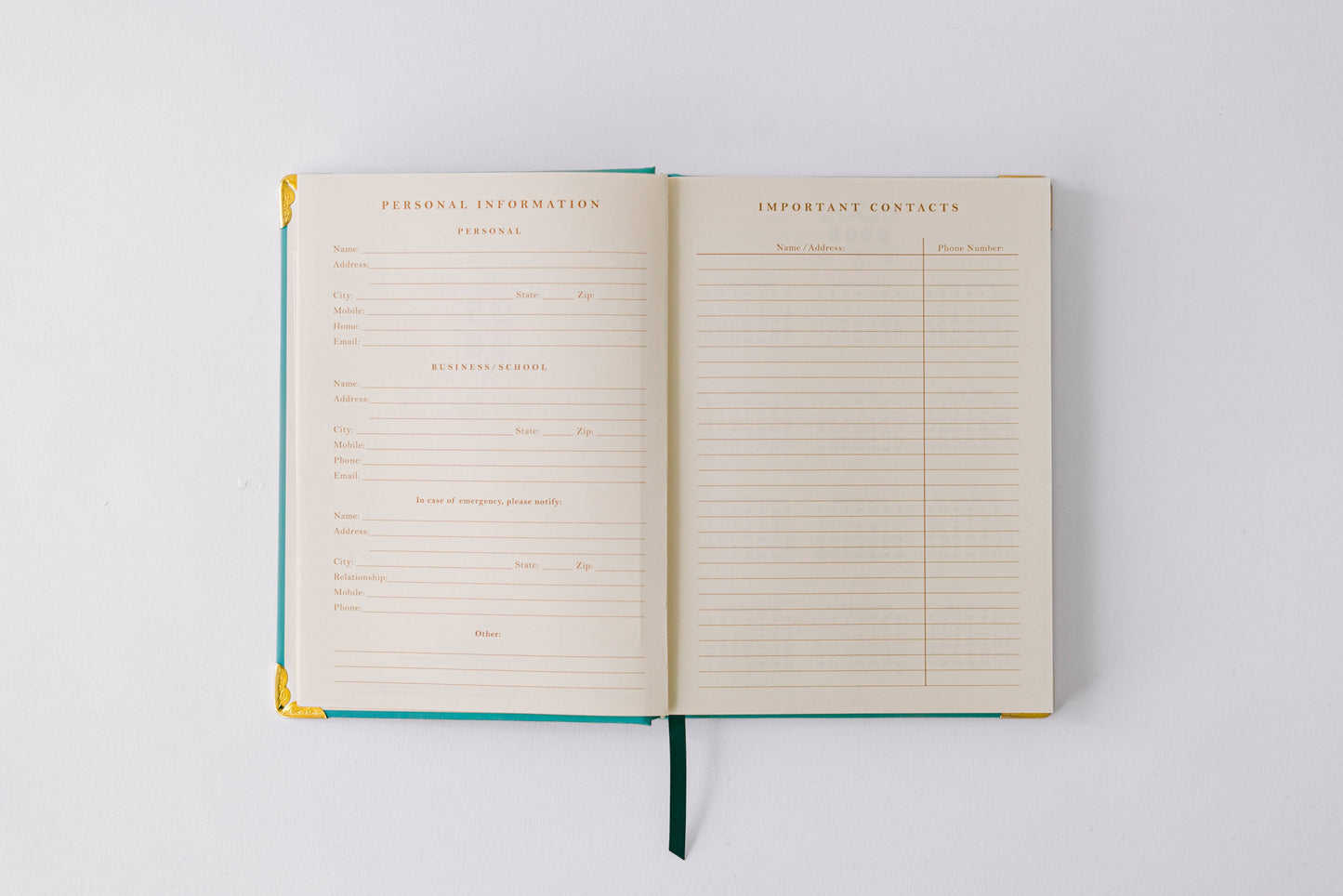 2026 Painted Frame 17-Month Medium Bound Planner