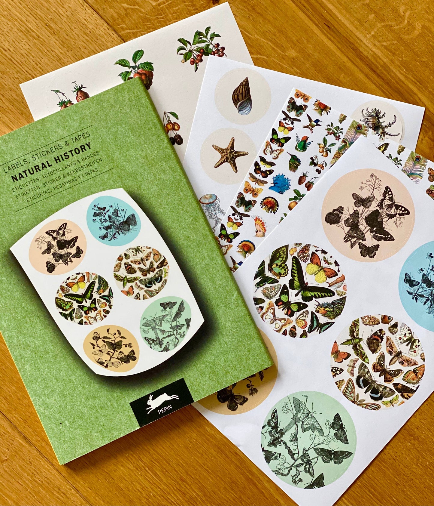Label Sticker & Tape Book - Natural History