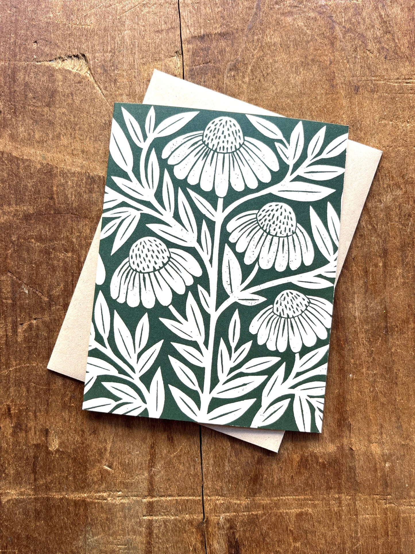 Echinacea Blank Greeting Card: Box of Six