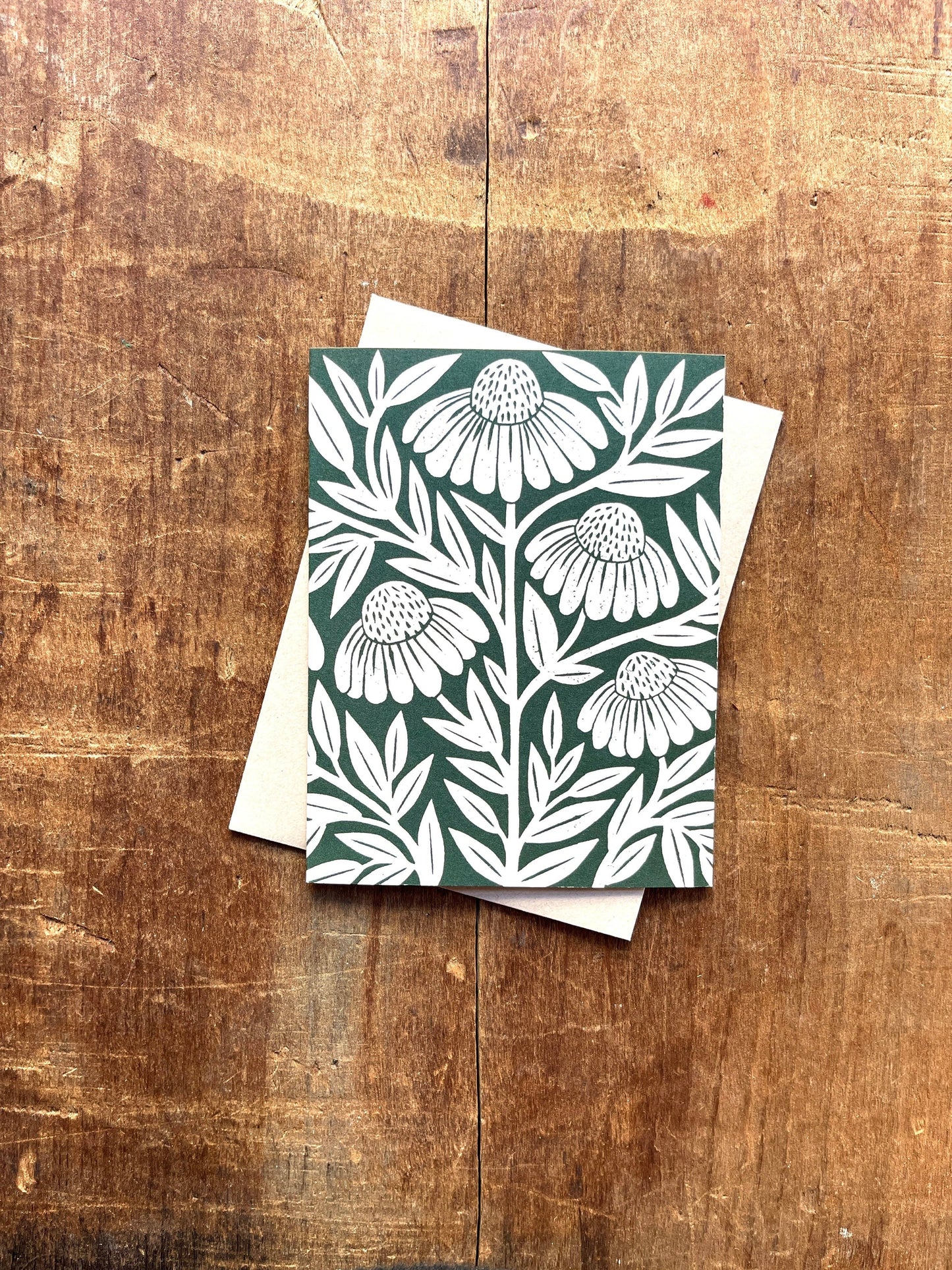Echinacea Blank Greeting Card: Box of Six