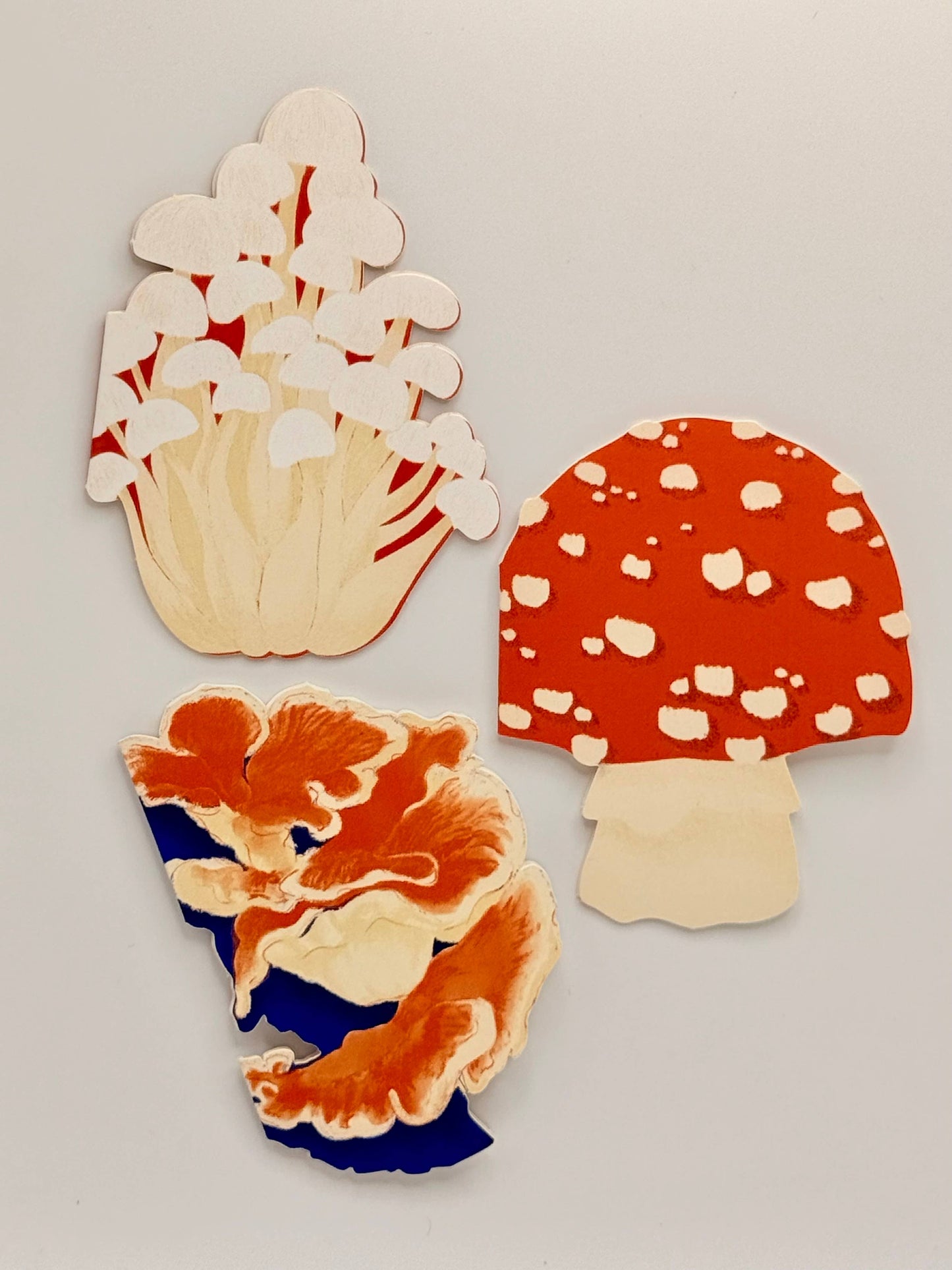 Foraged Fungi Die-Cut Greeting Card Set