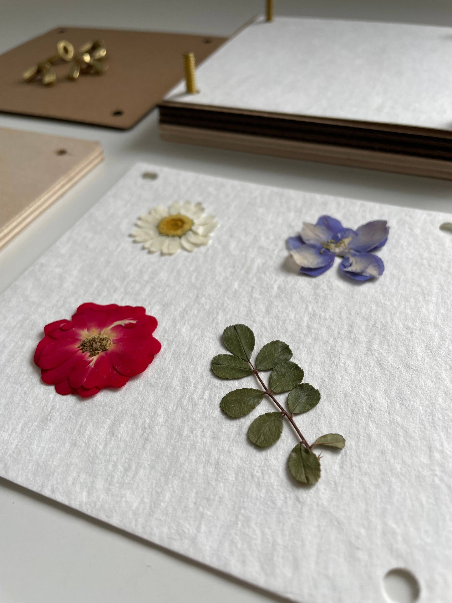 Flower Press Kit - Pressed Floral Accessories: Natural Brown