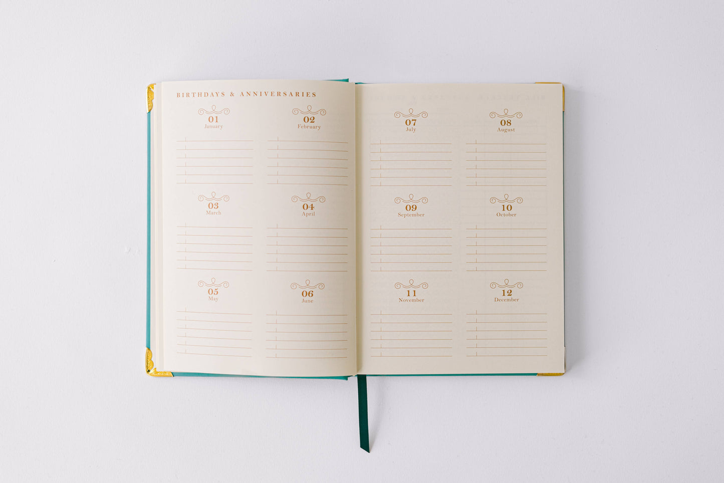 2026 Painted Frame 17-Month Medium Bound Planner