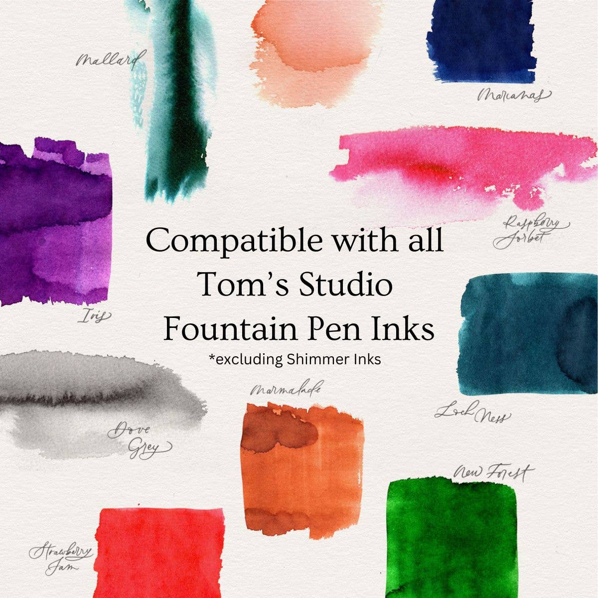 Tom's Studio Pocket Fountain Pen 2.0: Ivy