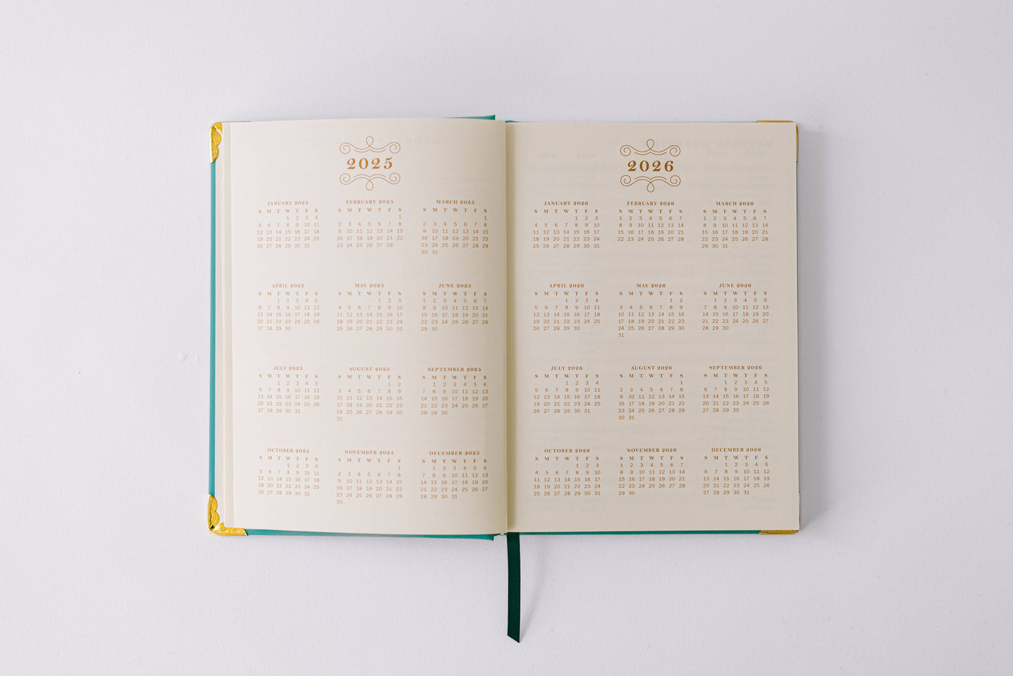2026 Painted Frame 17-Month Medium Bound Planner