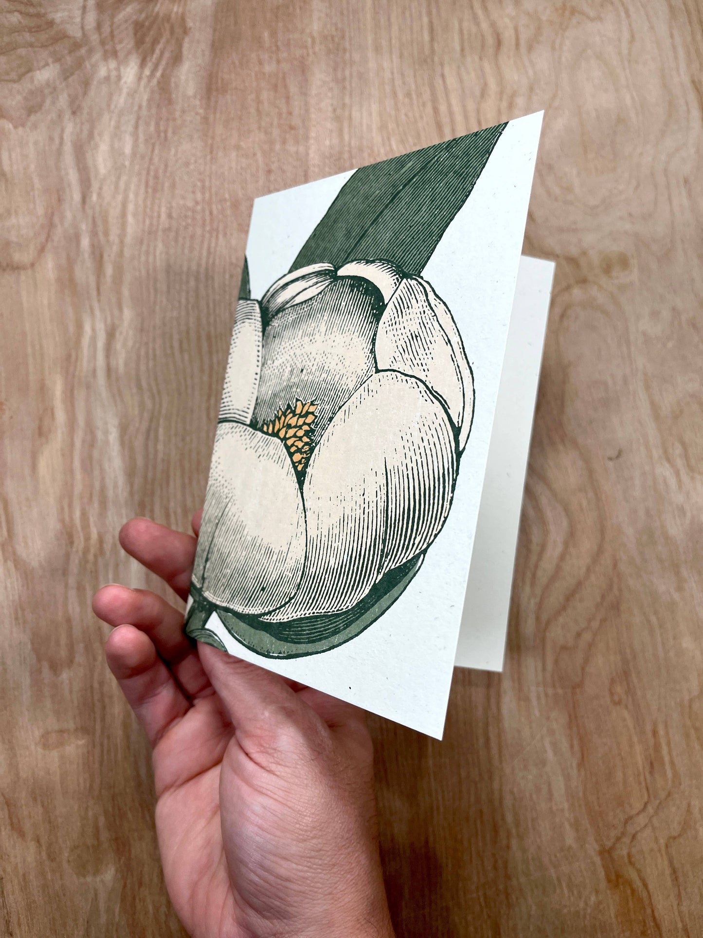 White Magnolia Greeting Cards