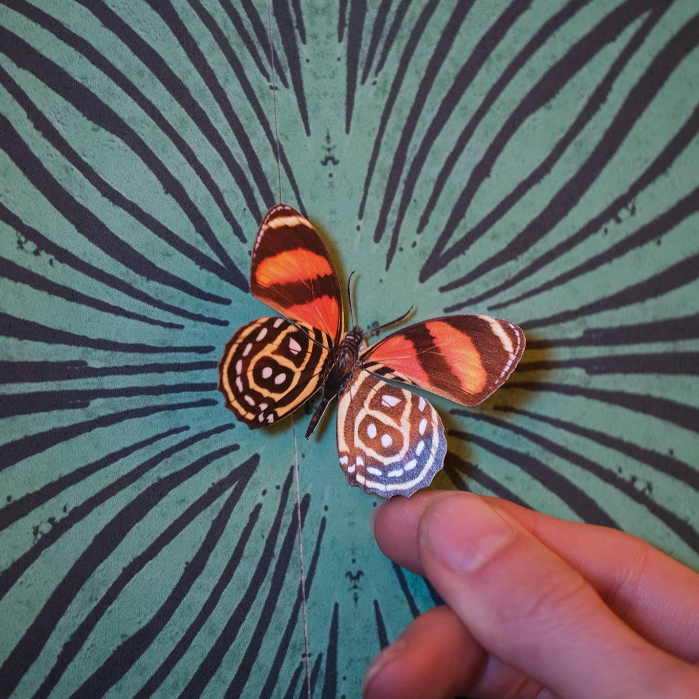 'Flower Child' Psychedelic Butterfly 3 piece Set