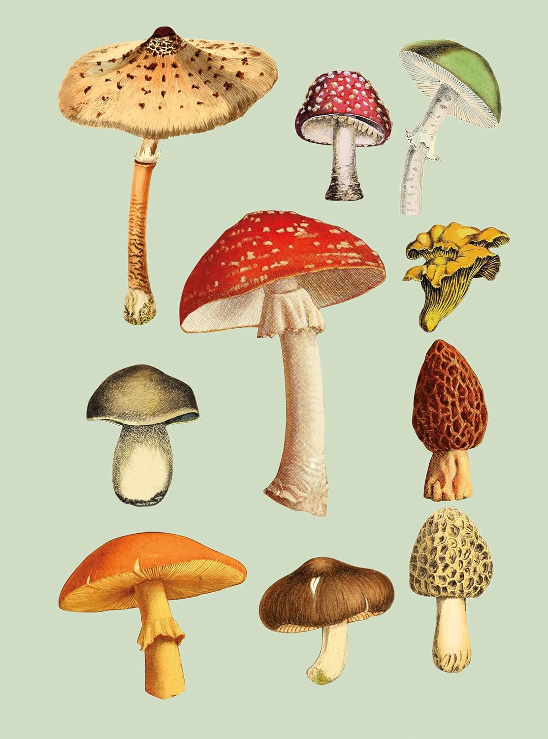 The Antiquarian Sticker Book