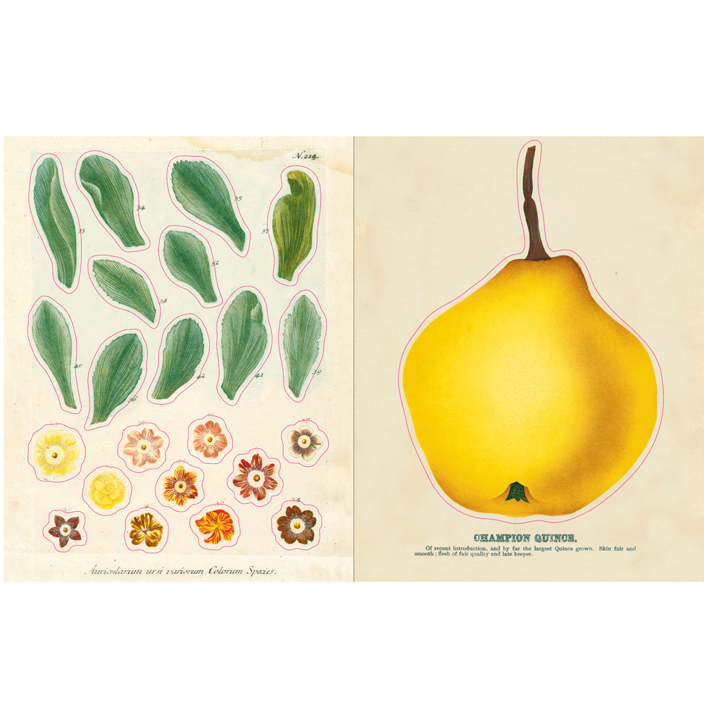 John Derian | Sticker Book