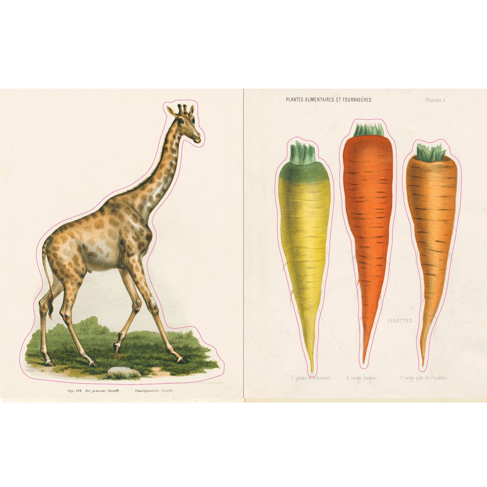 John Derian | Sticker Book