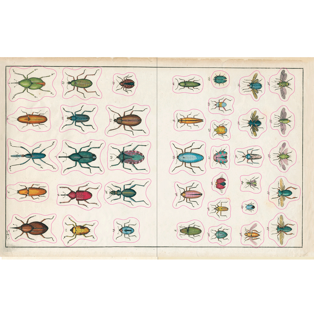 John Derian | Sticker Book