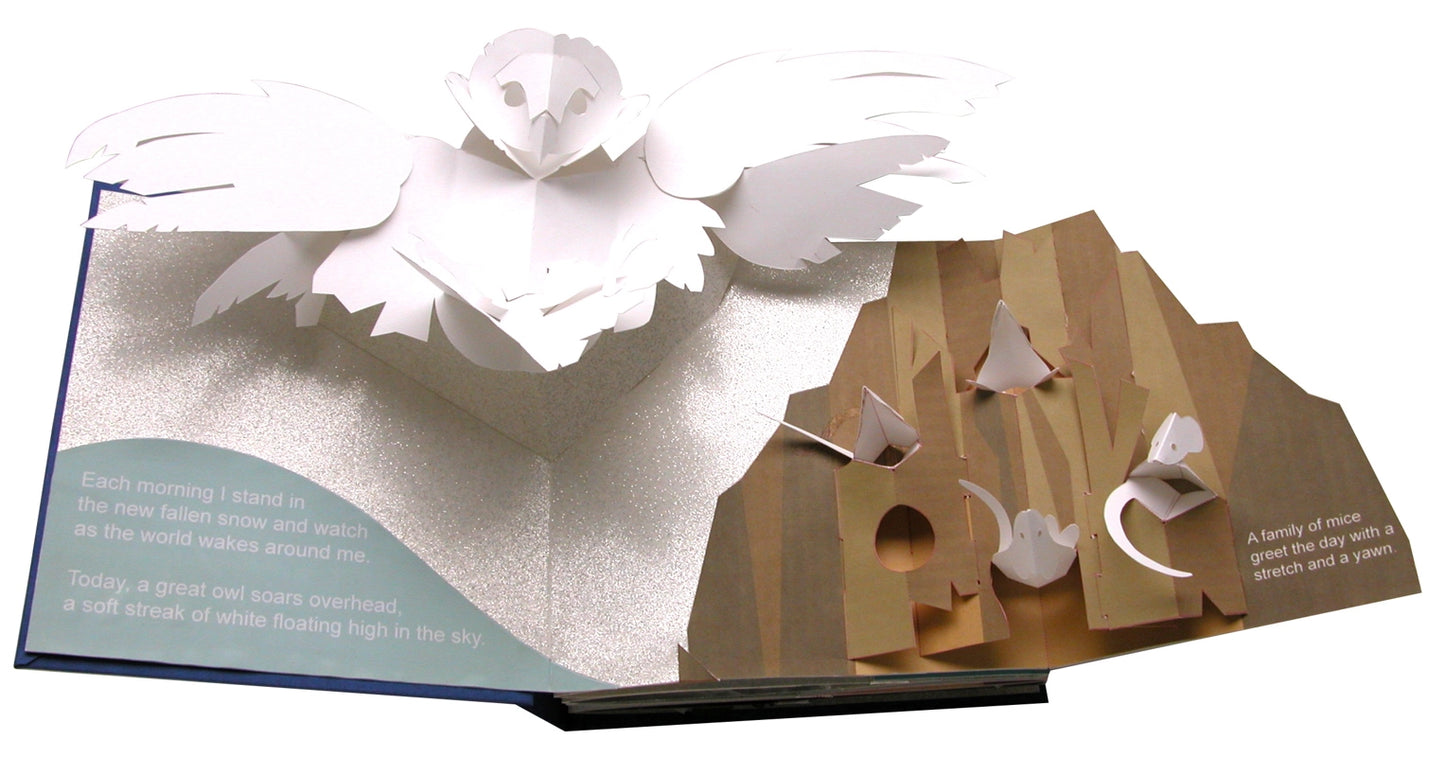 Winter’s Tale Pop Up