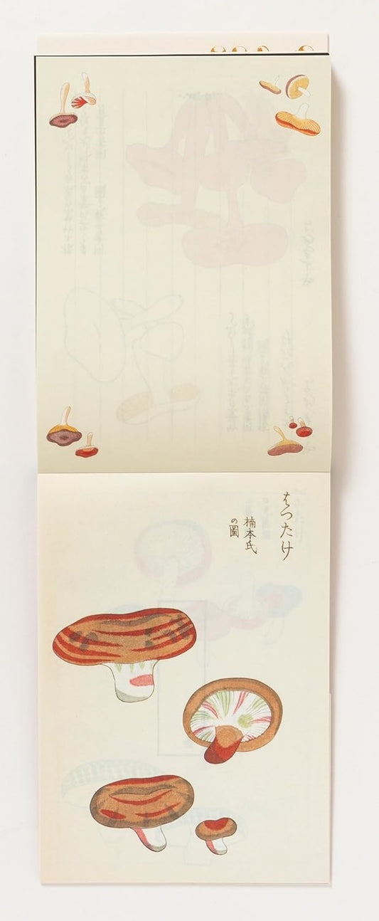 100 Writing and Crafting Papers - Mushroom