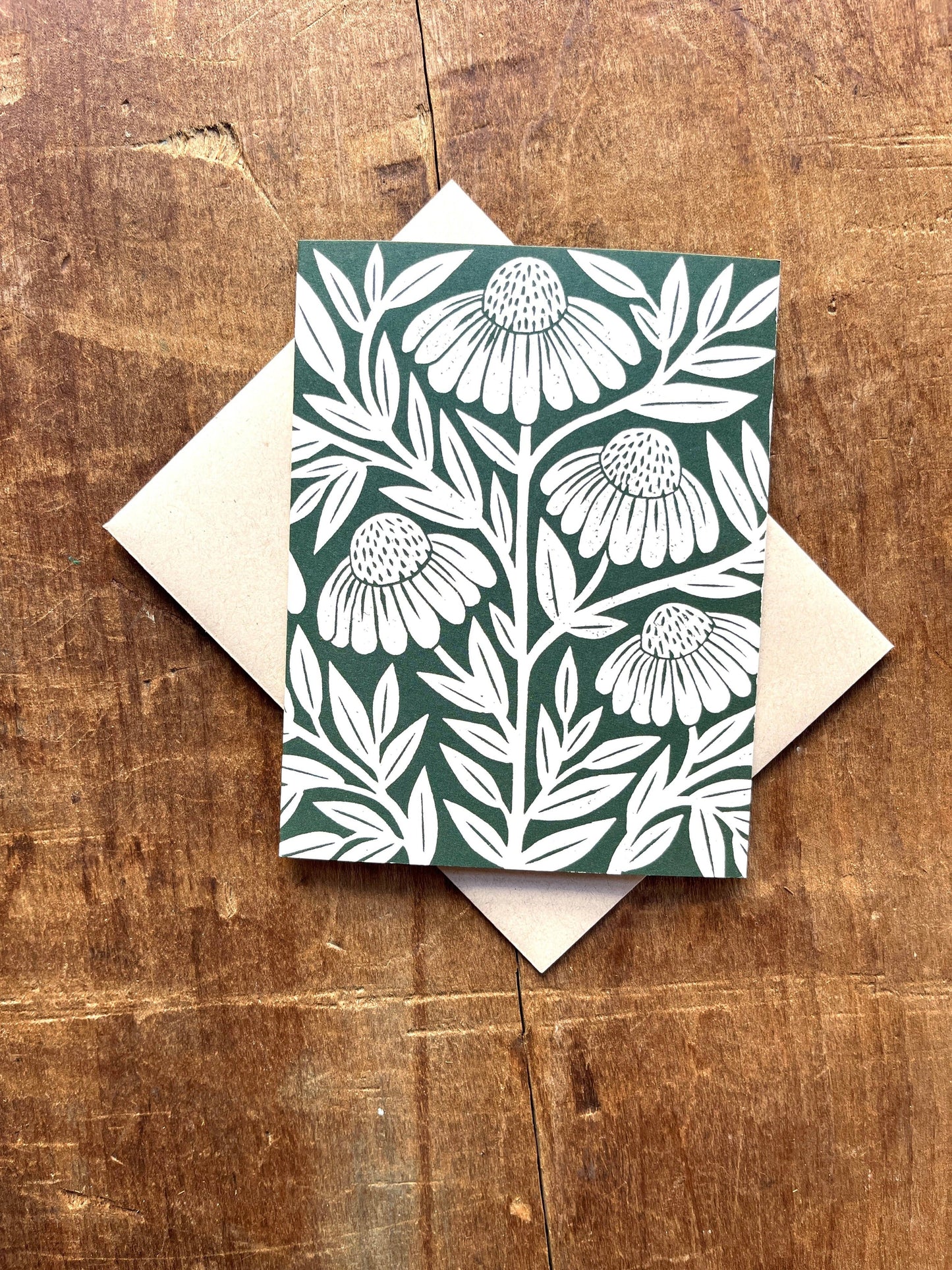Echinacea Blank Greeting Card: Box of Six
