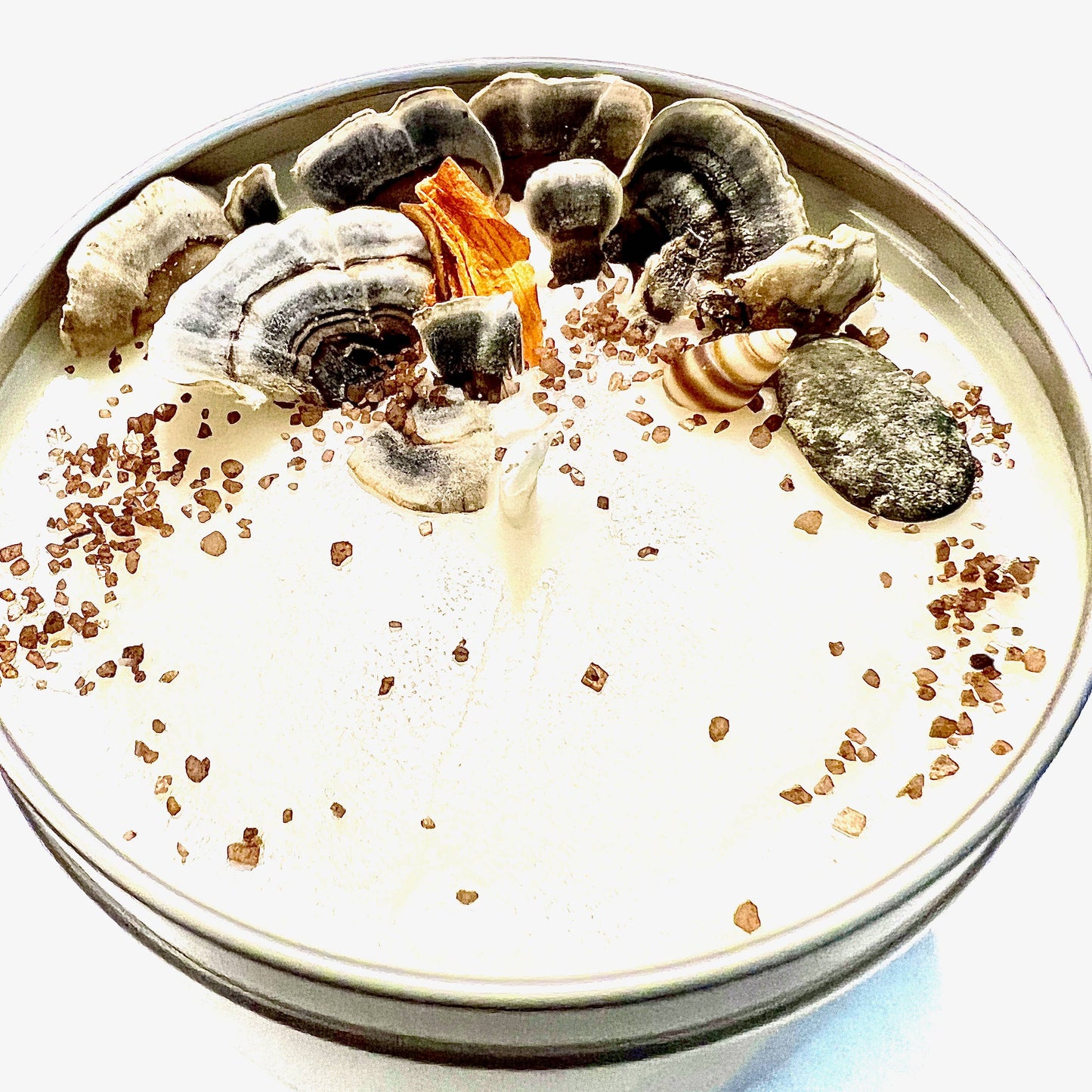 Coral Reef: 4 oz Soy Candle