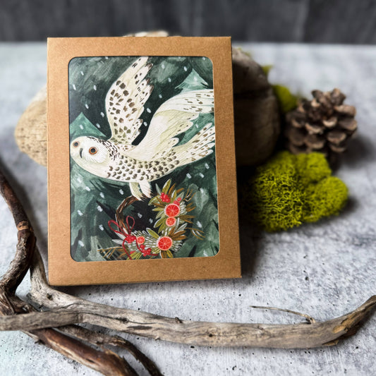 Festive Owl Holiday Cards (Boxed Card Set)