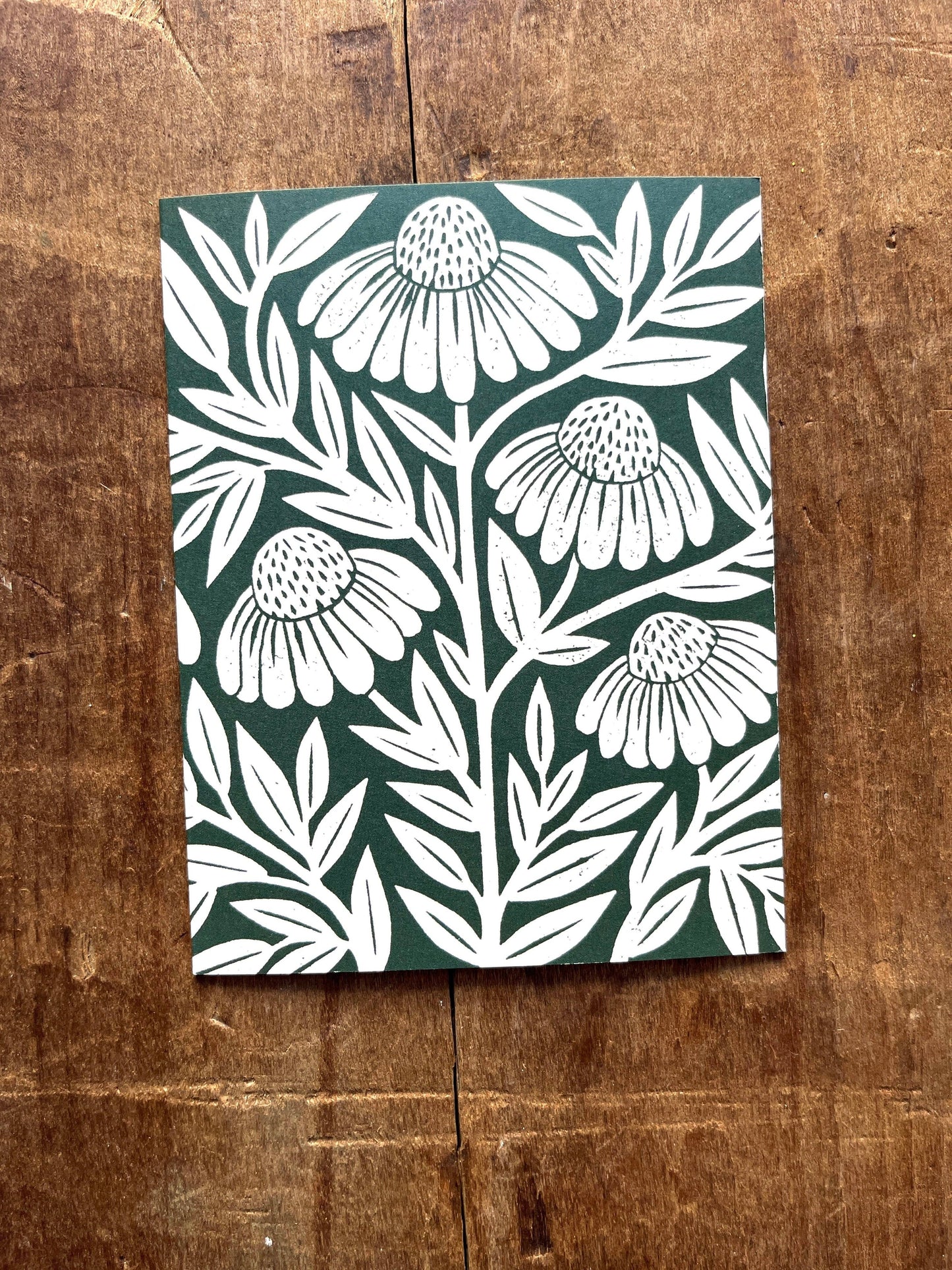 Echinacea Blank Greeting Card: Box of Six