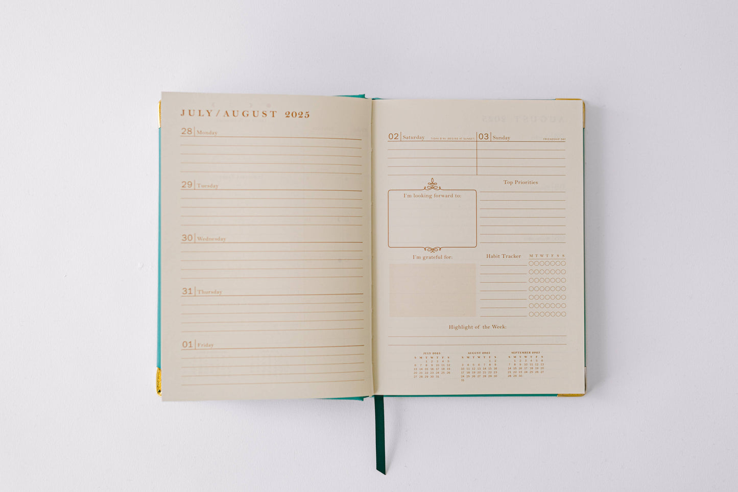 2026 Painted Frame 17-Month Medium Bound Planner