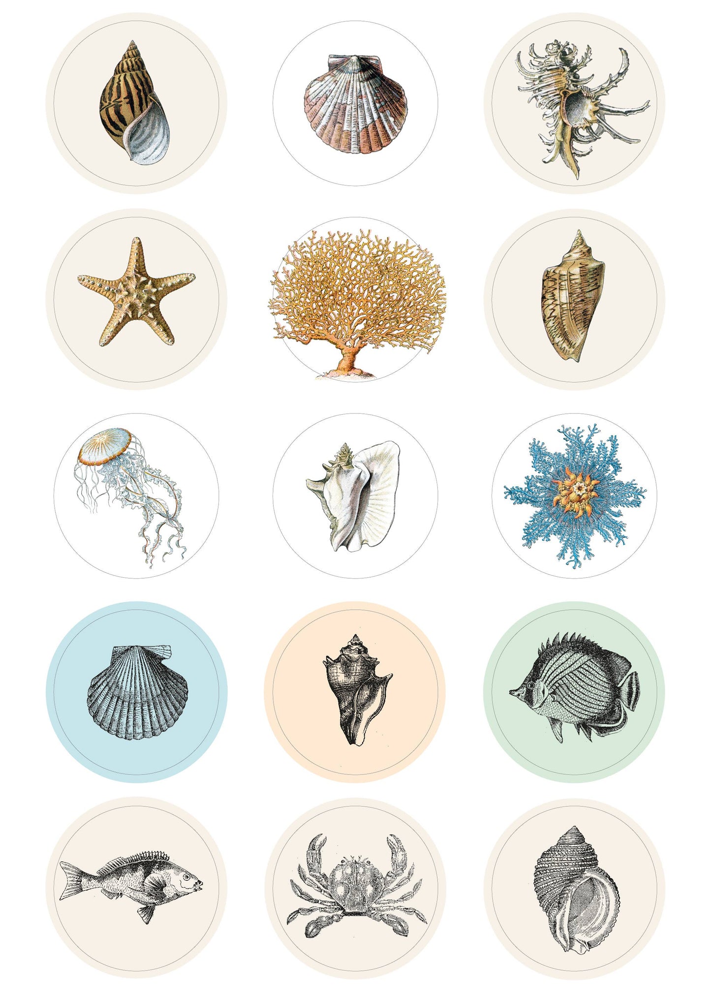 Label Sticker & Tape Book - Natural History