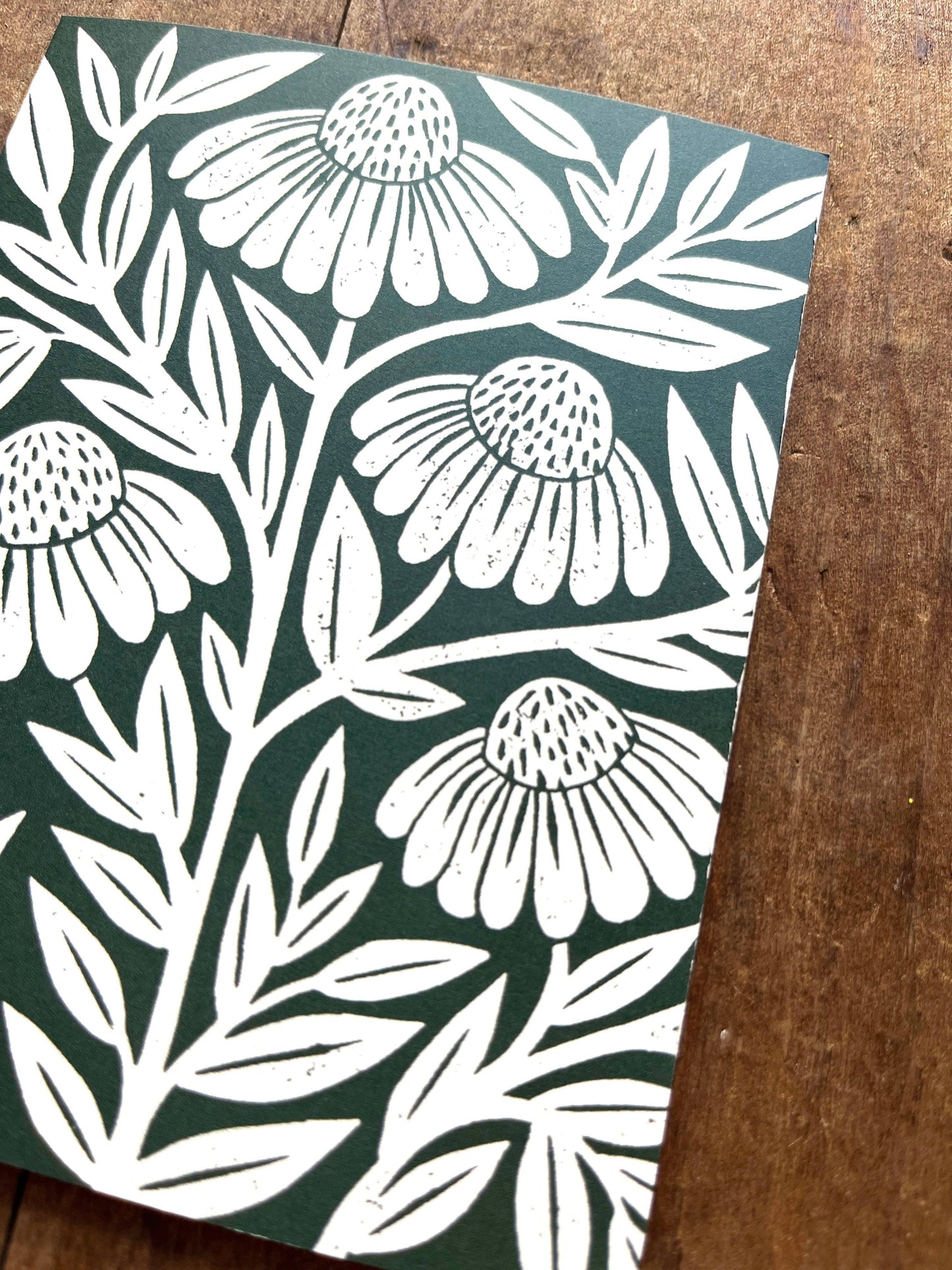 Echinacea Blank Greeting Card: Box of Six
