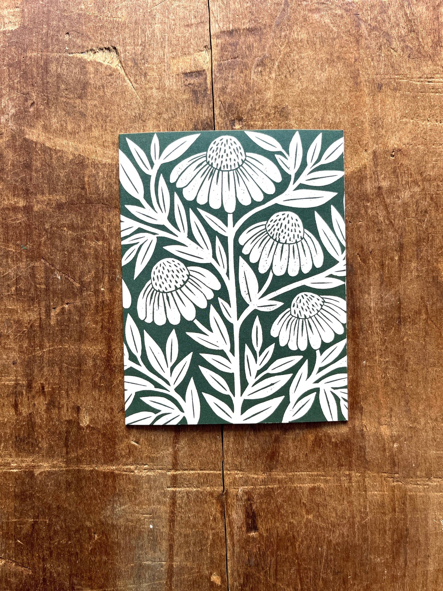 Echinacea Blank Greeting Card: Box of Six