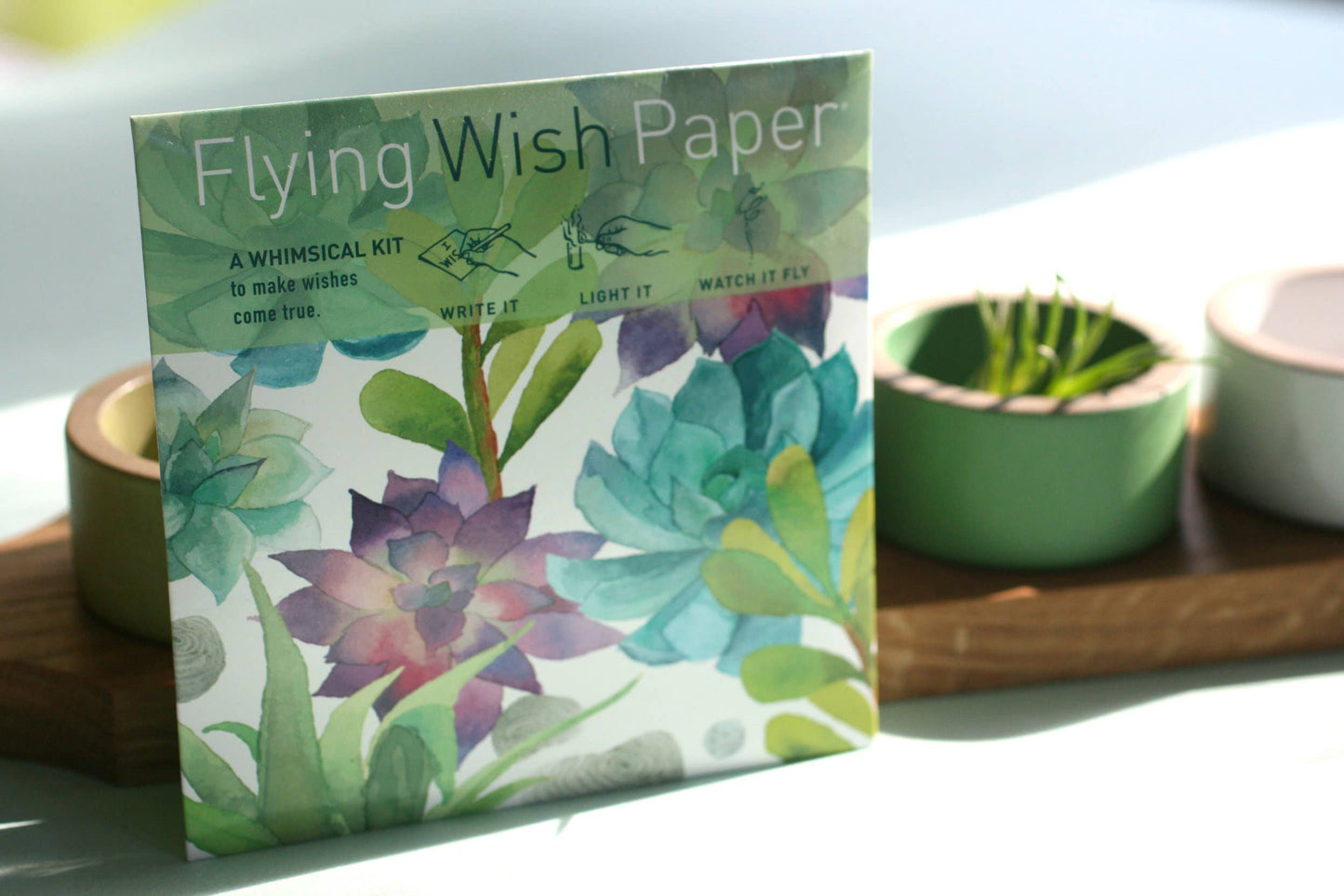 Flying Wish Paper Mini Kit - Cactus Garden