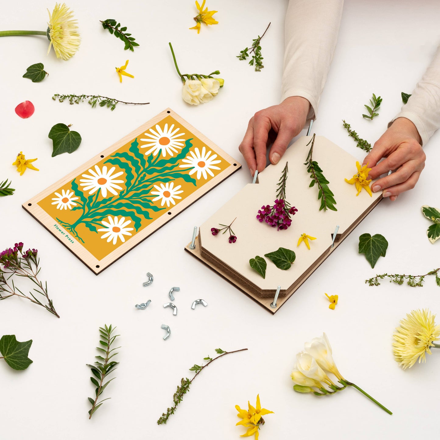XL Flower Press - Daisy