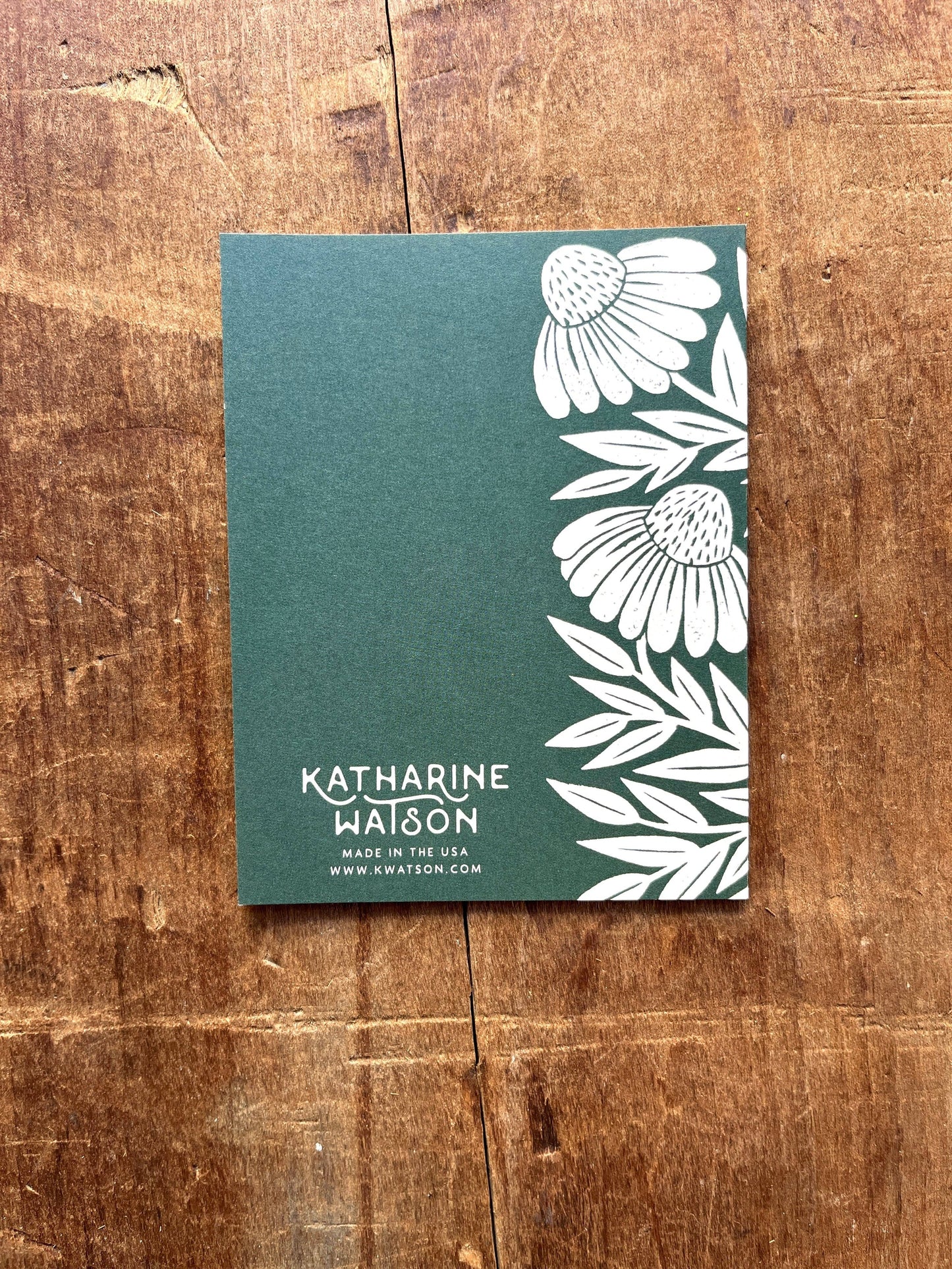 Echinacea Blank Greeting Card: Box of Six