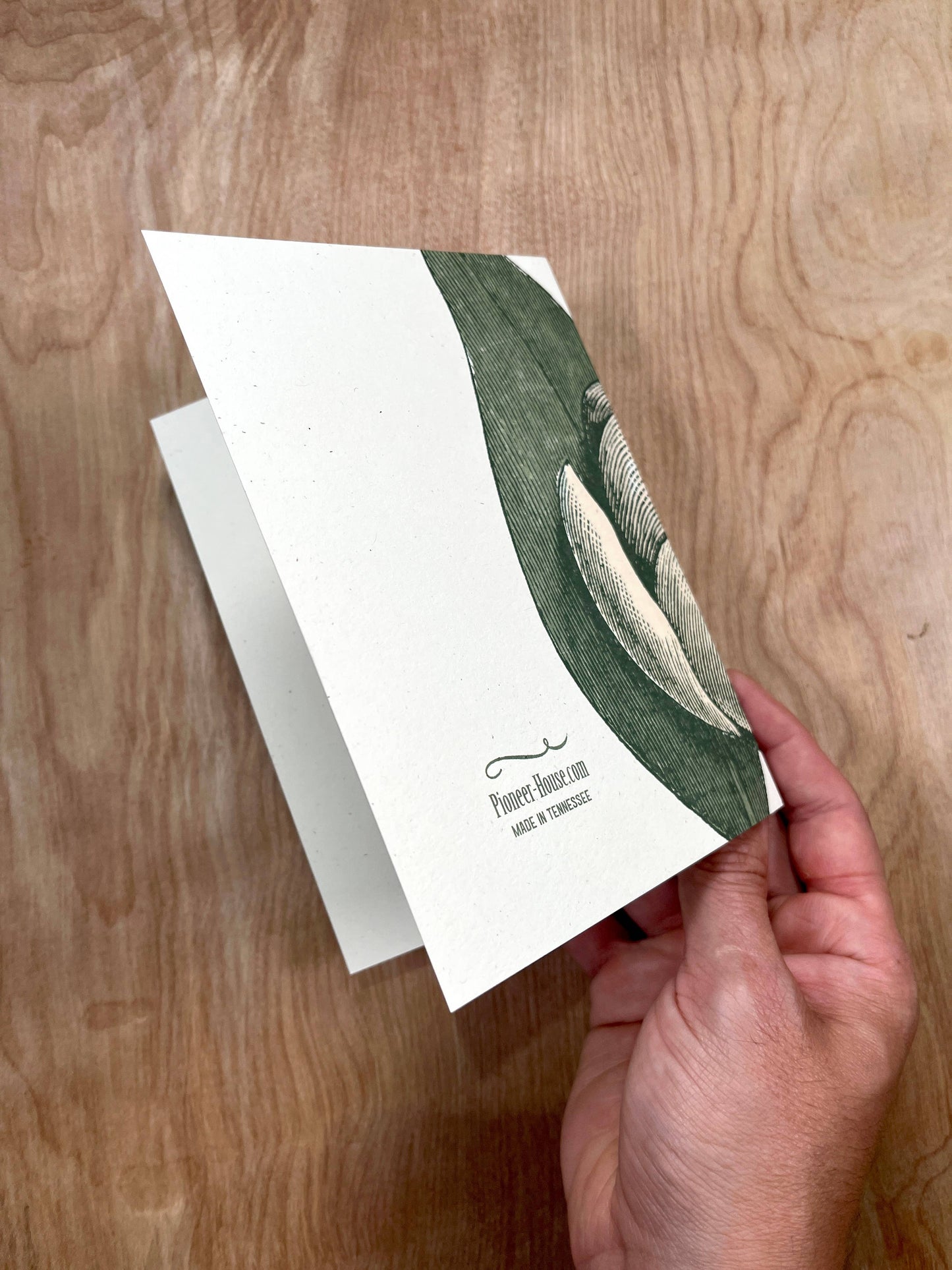 White Magnolia Greeting Cards