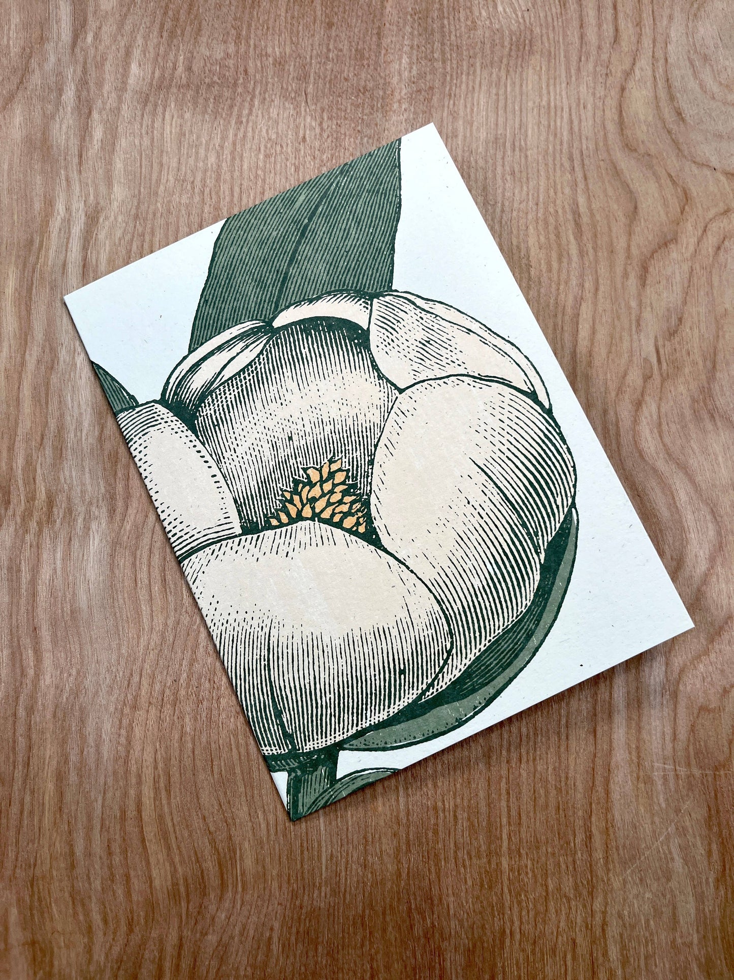 White Magnolia Greeting Cards