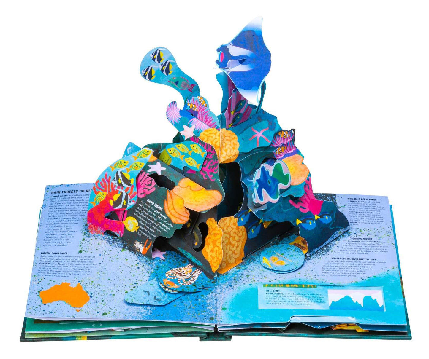 Teeth, Tentacles, and Tail Fins - Pop Up