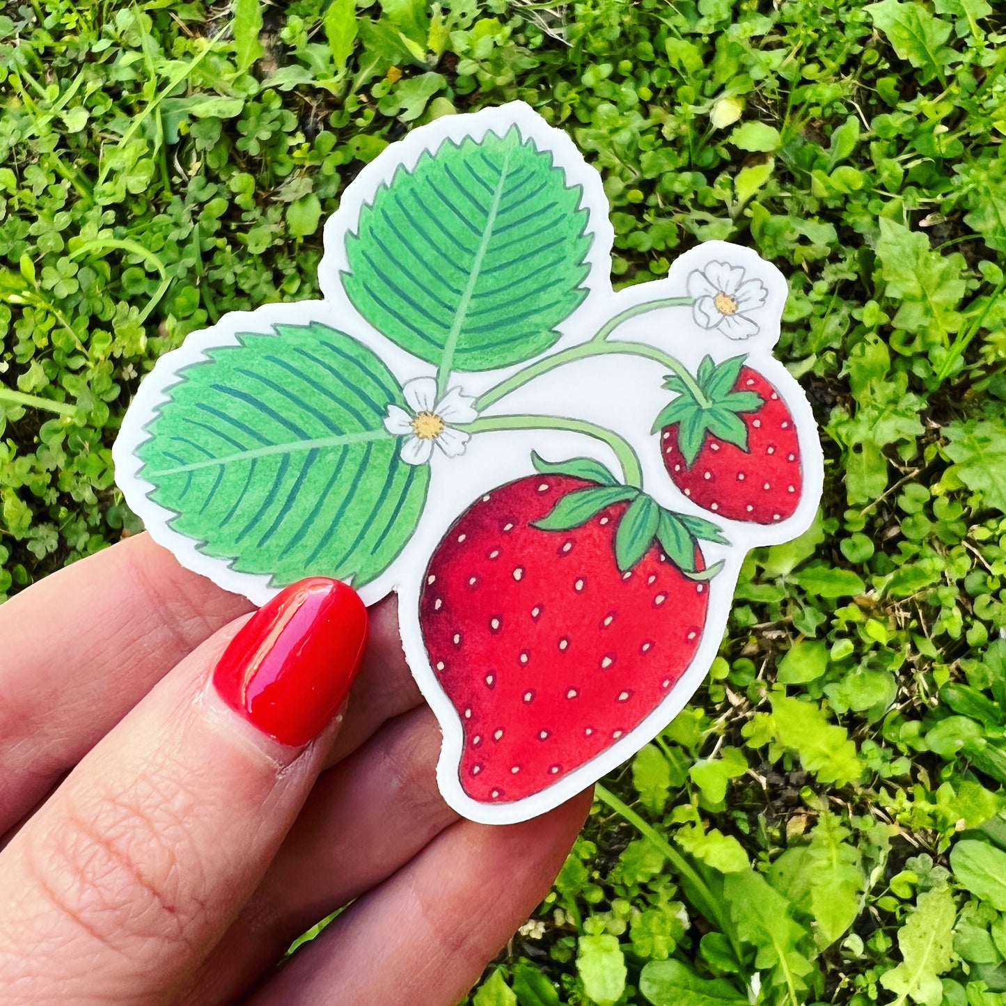 Strawberry Sticker