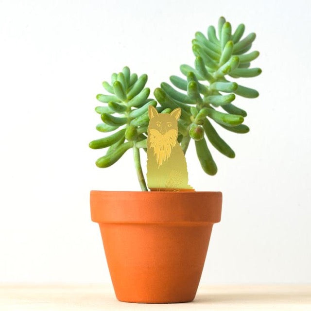 Fox Brass Plant Decoration