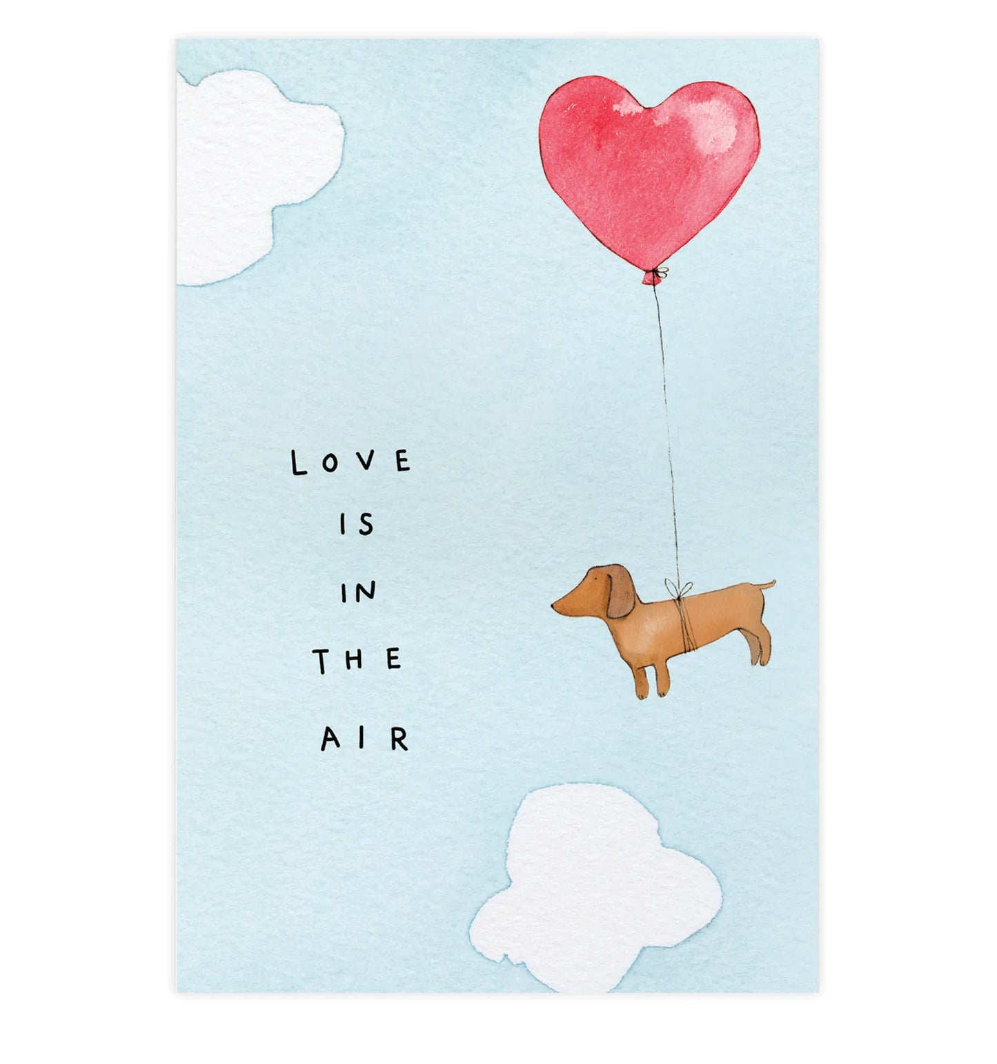 Sky Dog Postcard