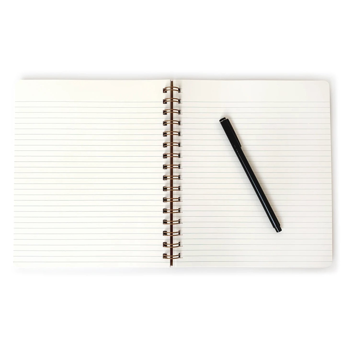 Clear the Fog Notebook