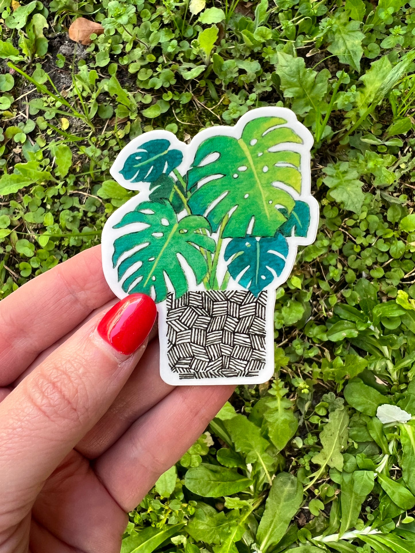 Monstera Sticker