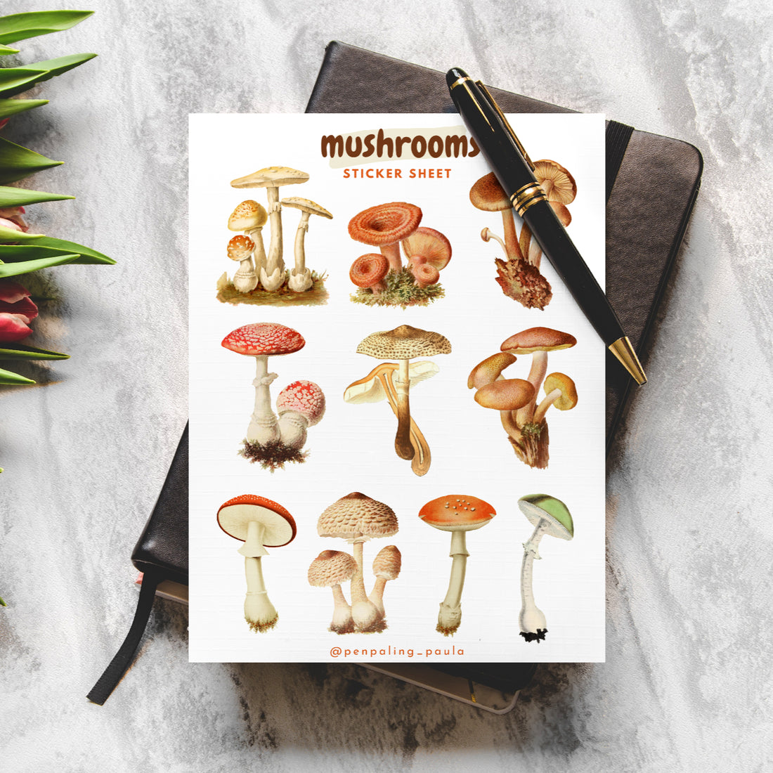 Mushroom Sticker Sheet
