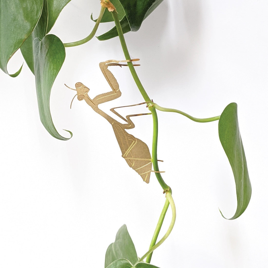 Praying Mantis Brass Plant Decoration