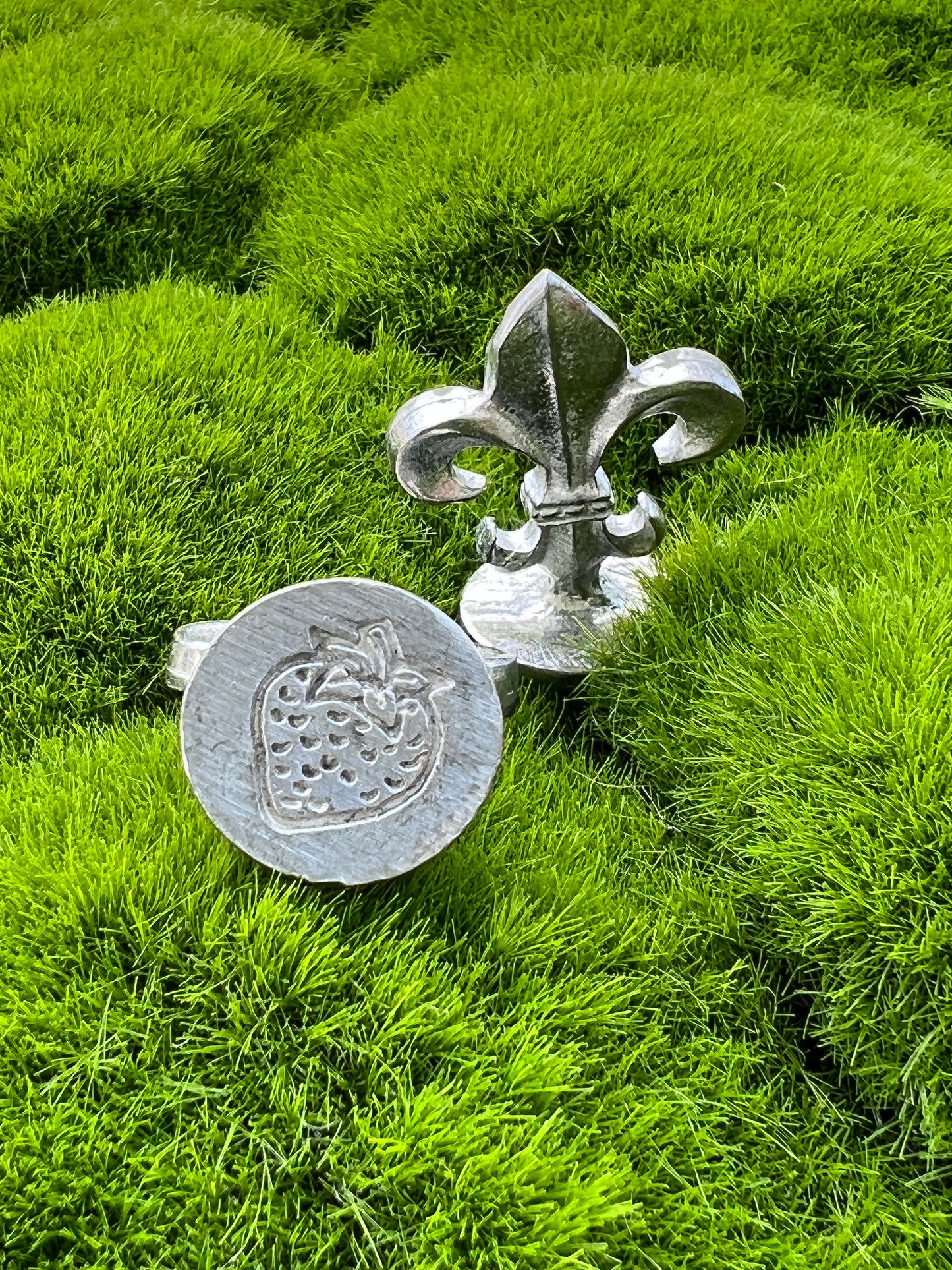 Strawberry Wax Seal