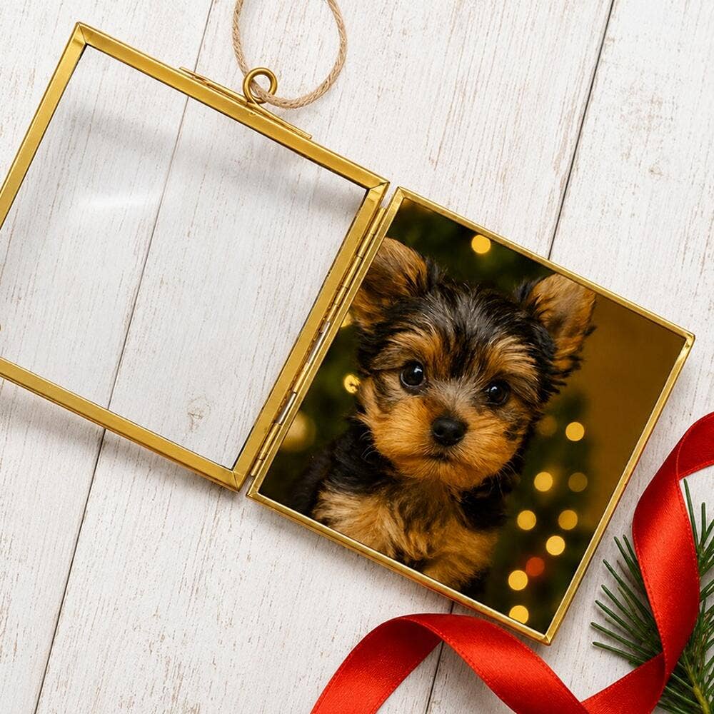 Gold Metal & Glass Frame Hanging Ornament